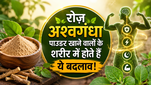 रोज़ अश्वगंधा पाउडर खाने वालों के शरीर में होते हैं ये बदलाव!